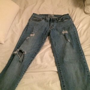 Bullhead skinny