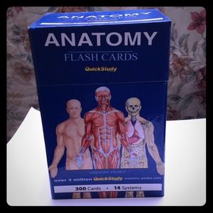 Anatomy flash cards. Great condition.