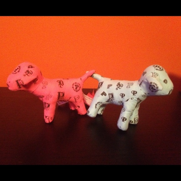 Two mini Victoria's Secret dogs