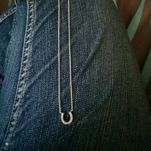 Horseshoe necklace