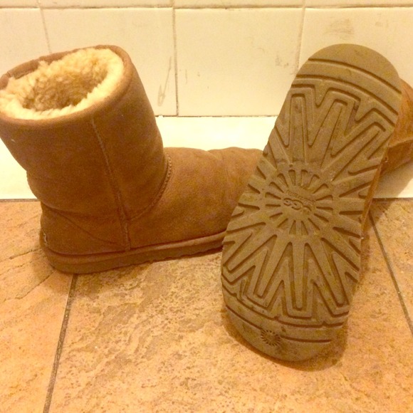 Classic short chestnut UGG boots