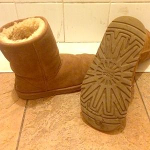 Classic short chestnut UGG boots