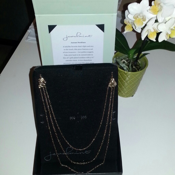 jewelmint aurum necklace