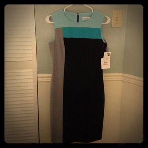 Calvin Klein Sheath Dress