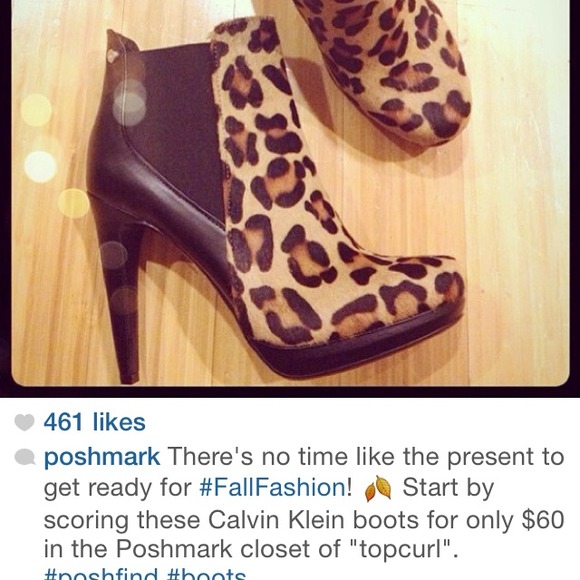 Poshfest & Meetups - Picture 3 of 7