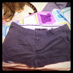 American eagle navy shorts