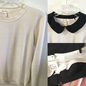 Removable Pet Pan Collar Sweater