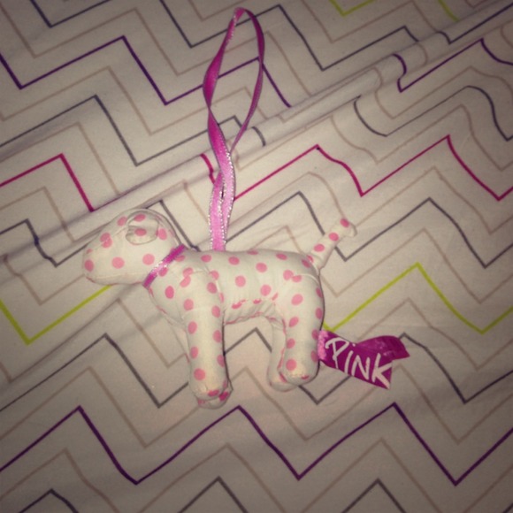 Vs pink mini dog
