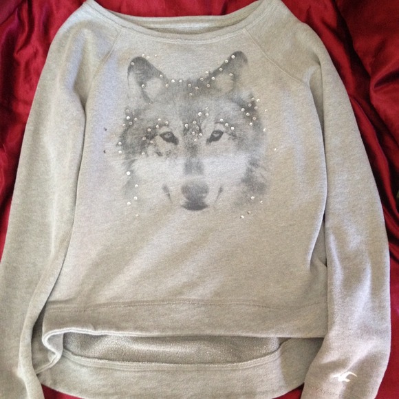 Hollister Wolf sweater