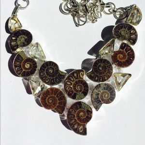 Ammonite Fossils & Fancy Citrine Sterling Silver