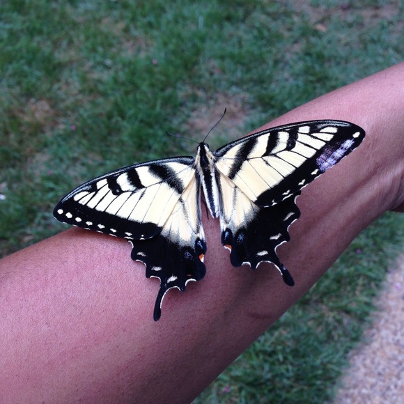 💕Welcome to Btufly Boutique💕Meet Your Seller - Picture 3 of 4