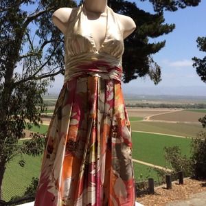 Adrianna Papell Occasions Dress