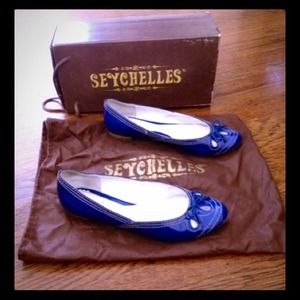 ❌donated. Blue patent leather flats