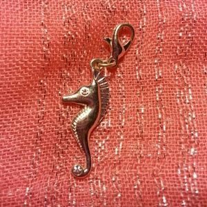 Seahorse Charm