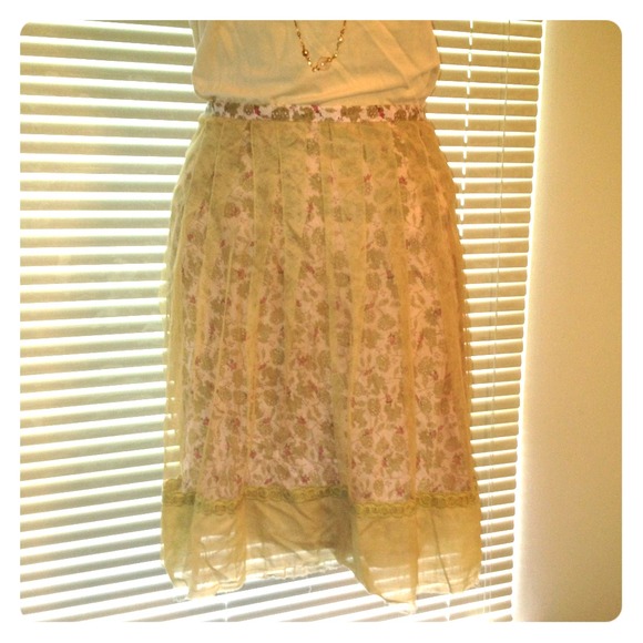 Pink + sheer beige skirt NWOT