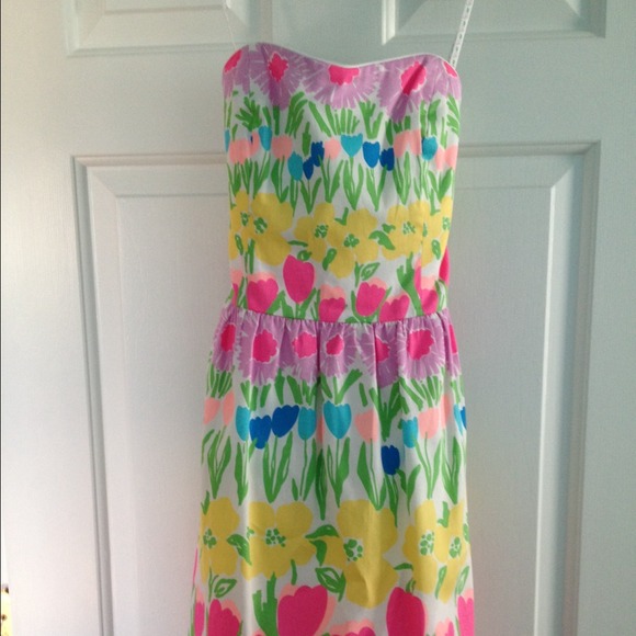 Lilly Pulitzer Peyton Dress