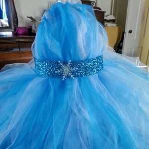 Price reduced!!!!!Disney frozen Queen Elsa's dress