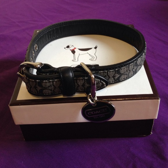NIB Authentic Coach Dog Collar