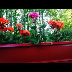 Reserved Madewell bundle