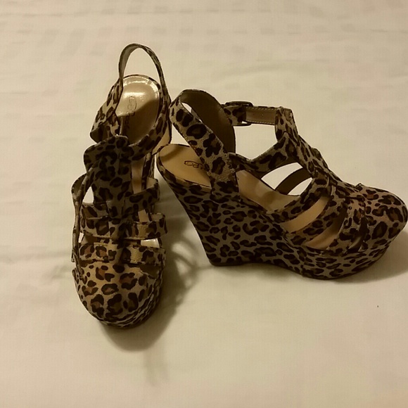 Cheetah wedge