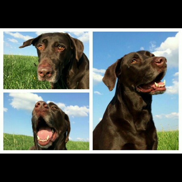 Meet Your Seller! - Picture 2 of 4