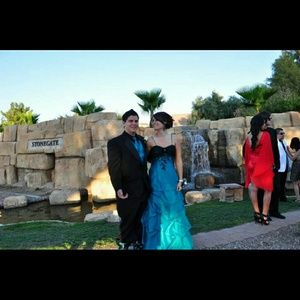 David's Bridal Gown Prom Dress