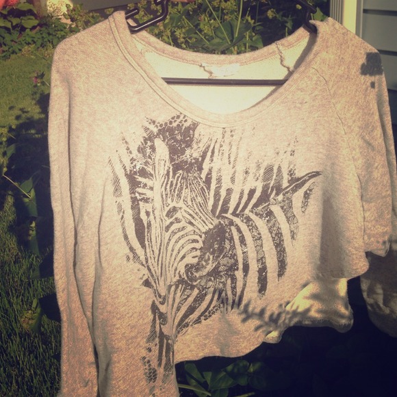 Zebra chill sweater