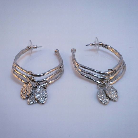 Surgical Steel Hoop Earrings - Picture 3 of 4