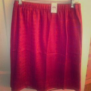 Ann Taylor Skirt NWT