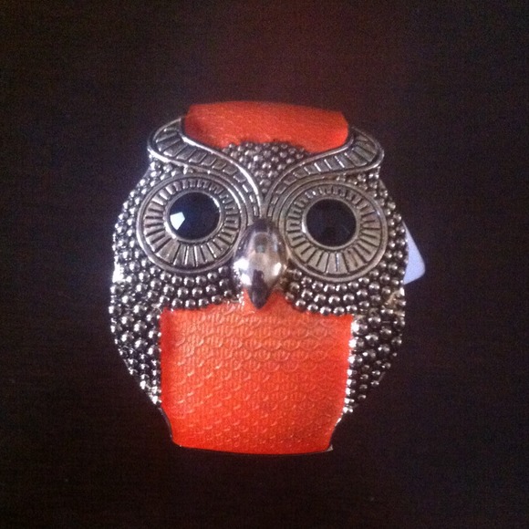 Owl Bracelet Just Reduced