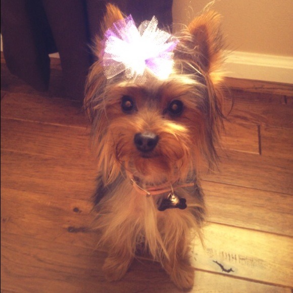 Meet your selllerr😁 - Picture 2 of 2