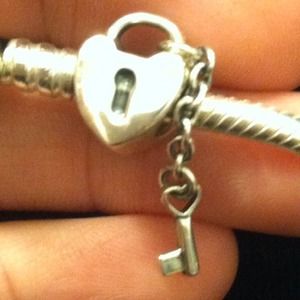 Pandora original charm
