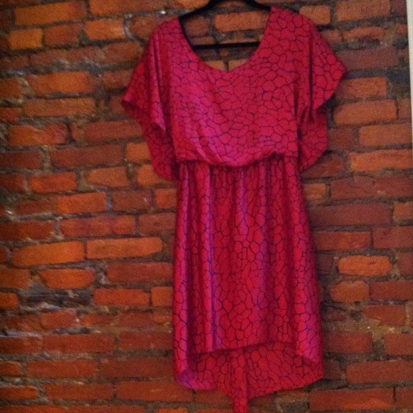 BCBG - Picture 4 of 4