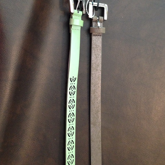 Price drop! Two belts. Mint green /bronze grey.