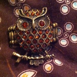 Stretch owl ring
