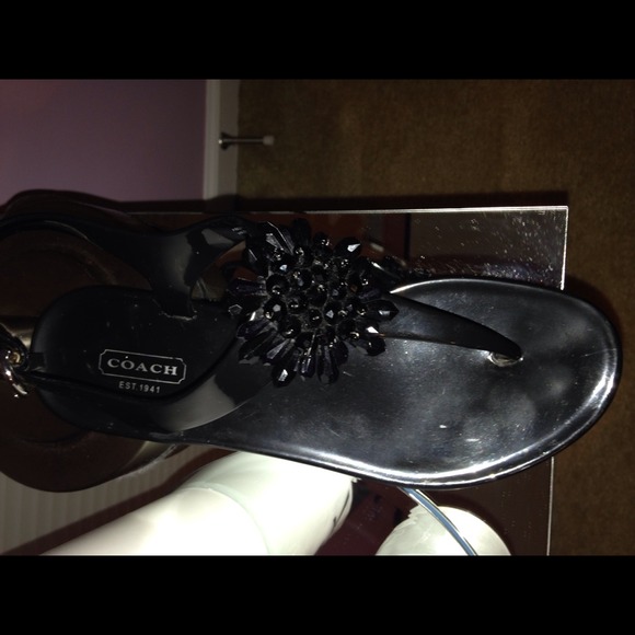 Coach Jellies