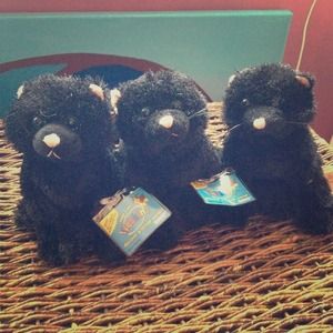 Black cat webkinz - BRAND NEW!