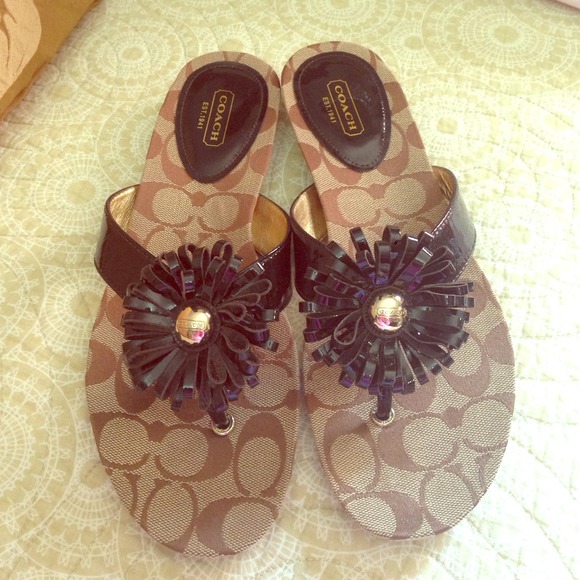 🚫SOLD🚫BNWOT Coach Sandals!