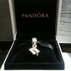 Pandora charms bundle!!!