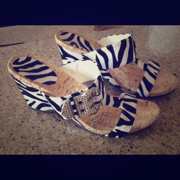 Zebra Print Clogs