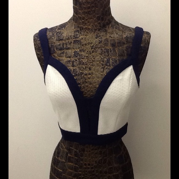 BLVD Collection Navy and White Crop Top