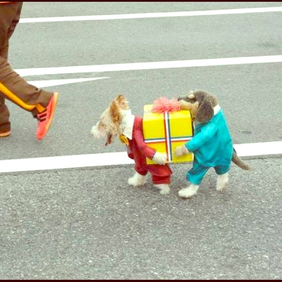 Fast delivery!!!