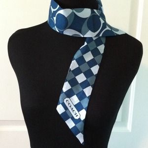 Coach Pey Dream C Pony Scarf