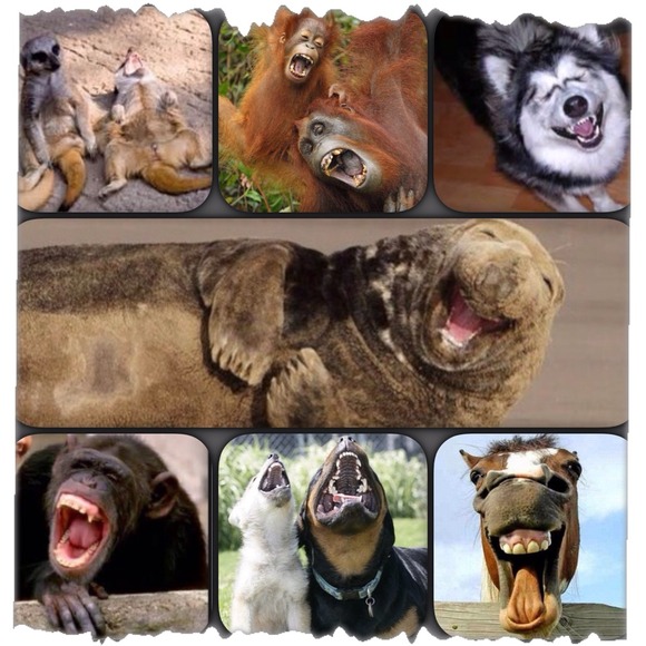 Please..STOP THE LOWBALLING!😖I'M OLD AND TIRED!! - Picture 3 of 3