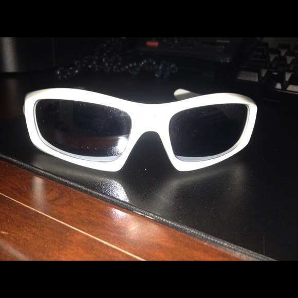 monster pup sunglasses