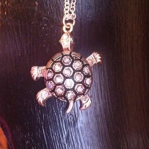 Adjustable Turtle necklace