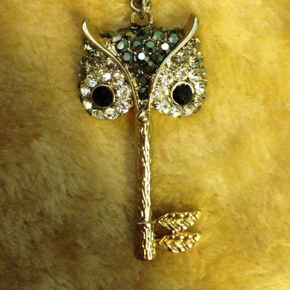 Owl head key necklace