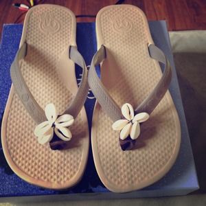 Sea shell sandals