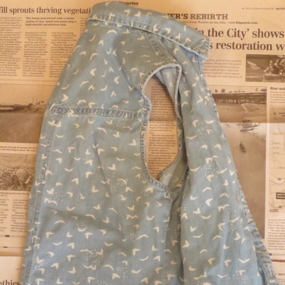 Sleeveless Bird Print Collared Top