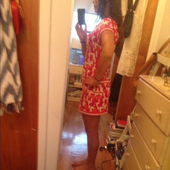 Bcbg mini dress. Great as cover up.